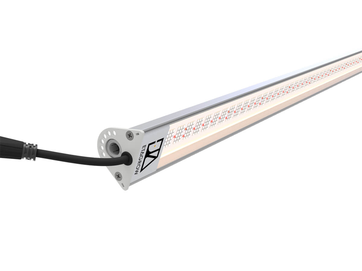 etagrow-alpha-leuchte5